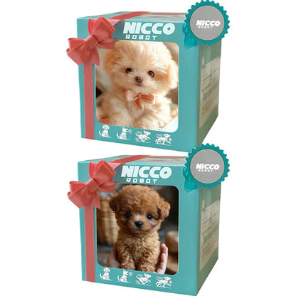 NICOO – My Playful Robot Pup🌈 🐶🐶